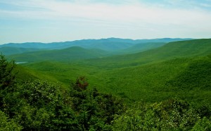 Central_Catskills_from_Twin_south_summit