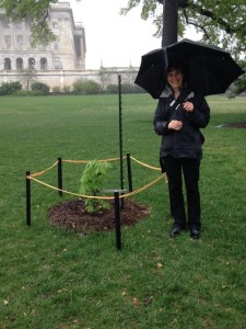 WSHERC's Ilana Cone Kennedy in D.C. posing with the sapling.