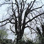 Huliana90212/Creative Commons