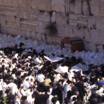 kotel
