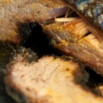 brisket